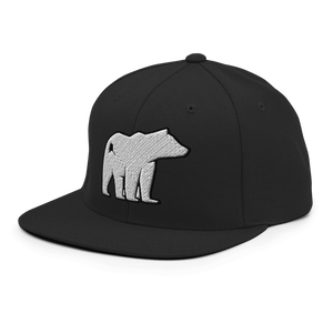 Polar Express Snapback