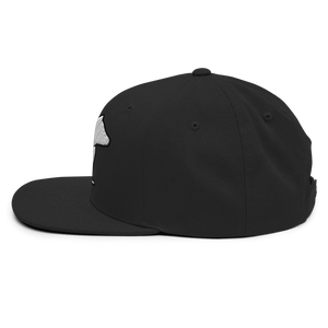 Polar Express Snapback
