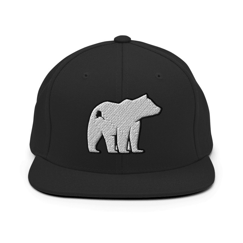 Polar Express Snapback