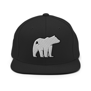 Polar Express Snapback