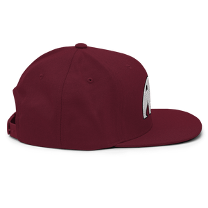 Polar Express Snapback