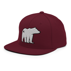 Polar Express Snapback